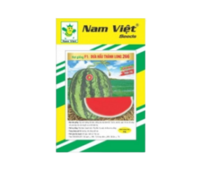 dua-hau-thanh-long-nv-266