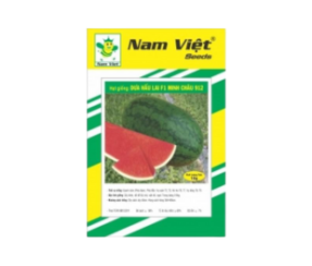 dua-hau-minh-chau-912