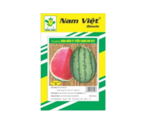 dua-hau-tieu-long-977